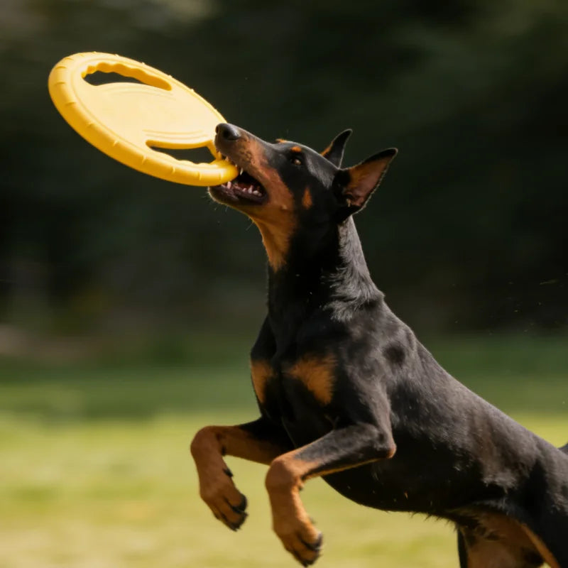 Spielzeug - Frisbee (3 Farben)