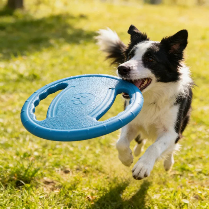 Spielzeug - Frisbee (3 Farben)