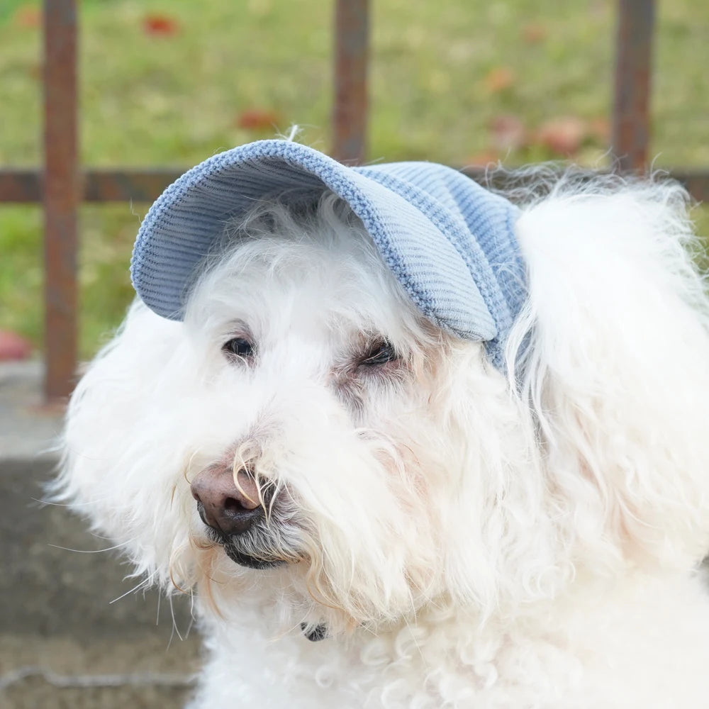 Hunde Cap - Baseball (4 Farben)