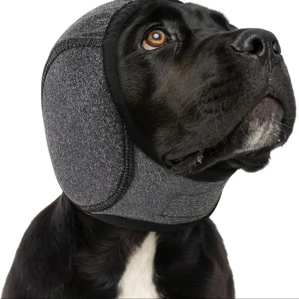 Geräuschunterdrückende Kopfhörer für Hunde und Katzen