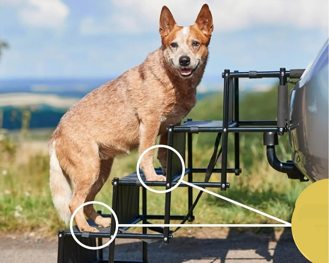 Hundetreppe - faltbar (5 Farben)